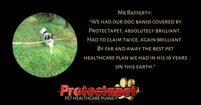 Protectapet Customer Testimonial 